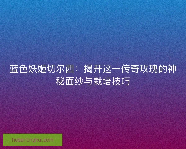蓝色妖姬切尔西:揭开这一传奇玫瑰的神秘面纱与栽培技巧 蓝色妖姬切尔西:揭开这一传奇玫瑰的神秘面纱与栽培技巧