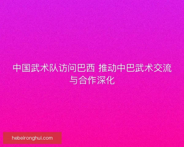 中国武术队访问巴西 推动中巴武术交流与合作深化
